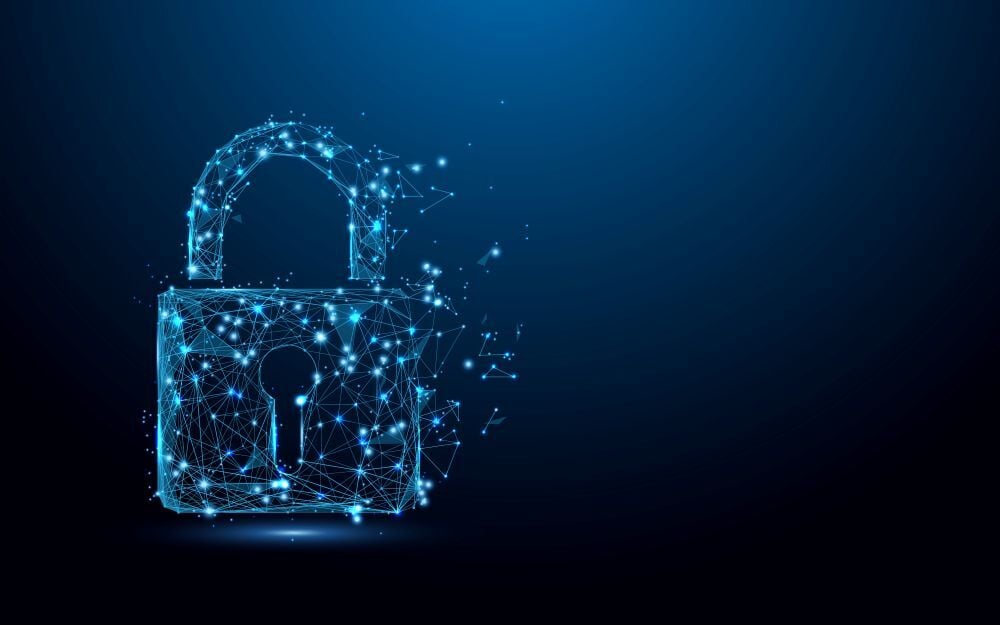 Do You Really Want the Cheapest Security Money Can Buy?
